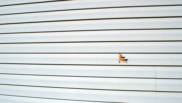 James Hardie Siding in Phelan, CA
