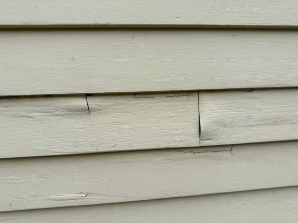  Phelan, CA Siding Installation Pros